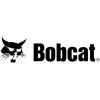 BobCat