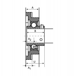 Carcase pentru rulmenti UCF205 KML
