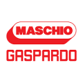 Maschio